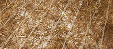 Abdeckmatte Natte de couverture